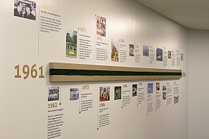 decorative laminate wall decor in a exhibit