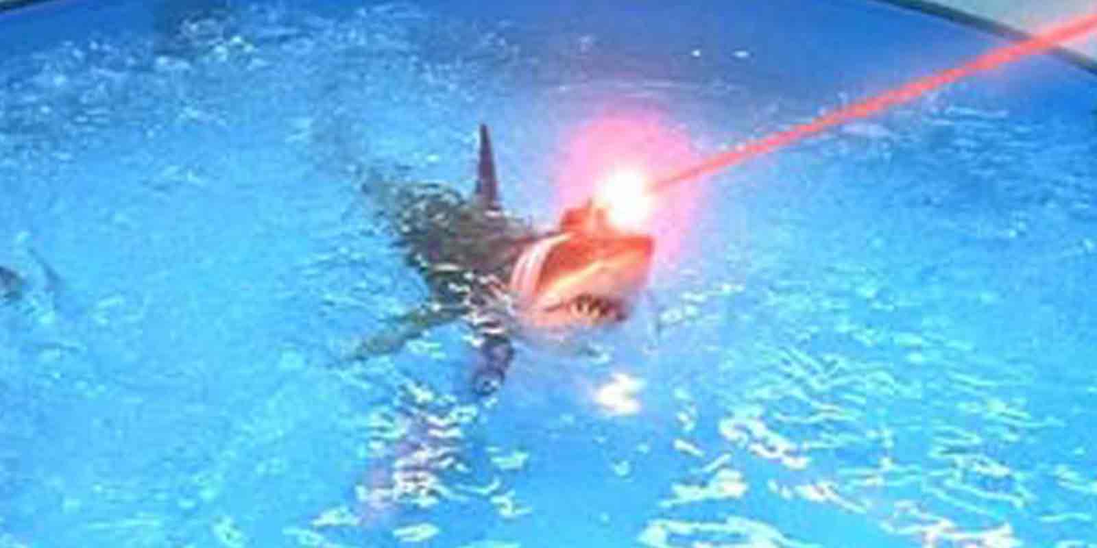 3 Reasons To Get A Custom Wall Covering Tree Towns Digital Decor