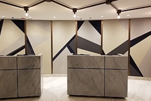 pattern wall coverings in the reception walls