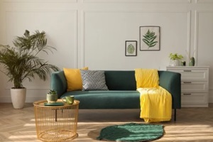 stylish living room interior with comfortable green sofa