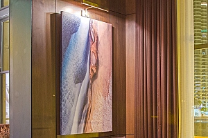 modern-custom-acoustic-art-panels