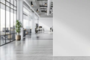 office interior with a clear white wall for mockups next to a potted plant, showcasing a modern clean design